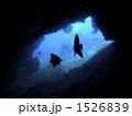 1526839