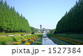 公園の緑を楽しむ