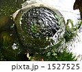 まつもと城下町湧水群　槻井泉神社