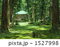 夏の平泉寺の苔