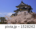 彦根城と春の桜