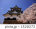 彦根城と春の桜