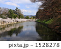 春の彦根城のお堀