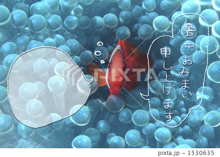 暑中おみまい申し上げます。 暑中おみまい申し上げます。