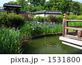 奈良法華寺護摩堂の花菖蒲 奈良法華寺護摩堂の花菖蒲