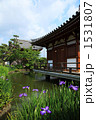奈良法華寺護摩堂の花菖蒲 奈良法華寺護摩堂の花菖蒲
