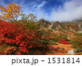 千畳敷カールの紅葉 千畳敷カールの紅葉