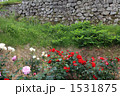 城の石垣とバラ 城の石垣とバラ