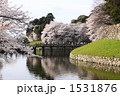 春の彦根城のお堀