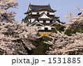 春爛漫の桜満開彦根城
