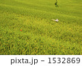 収穫の明日香