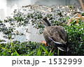 小さな散策