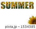 SUMMER_向日葵