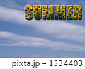 SUMMER_向日葵_空