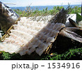 高級魚クエの姿盛り