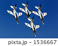 ブルーインパルス