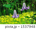 1537948