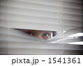 1541361