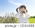 おにぎり