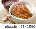 鰻丼