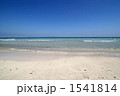 1541814