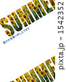 ひまわり_SUMMER