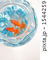 金魚のイメージ