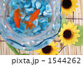 金魚のイメージ