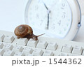 時間と蝸牛