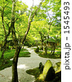 春の光明禅寺
