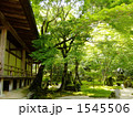 春の光明禅寺