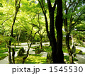 春の光明禅寺