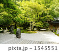 春の光明禅寺