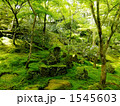 春の光明禅寺