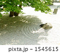 春の光明禅寺