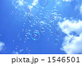 1546501