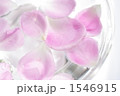 花びら