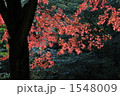 1548009