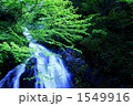初夏の親子滝 初夏の親子滝