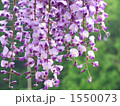 1550073