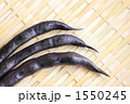 カラーいんげん