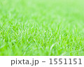 1551151