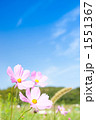 1551367