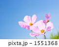 1551368