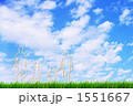 家族の絆