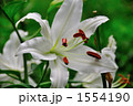 1554190