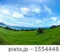 そよ風に吹く