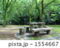 夏の日の木陰