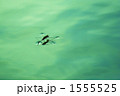 1555525
