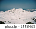 1556403
